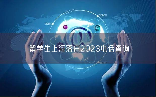 留学生上海落户2023电话查询