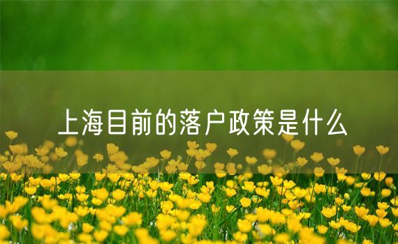 上海目前的落户政策是什么