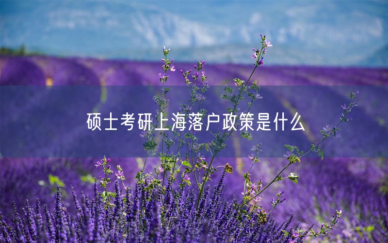 硕士考研上海落户政策是什么