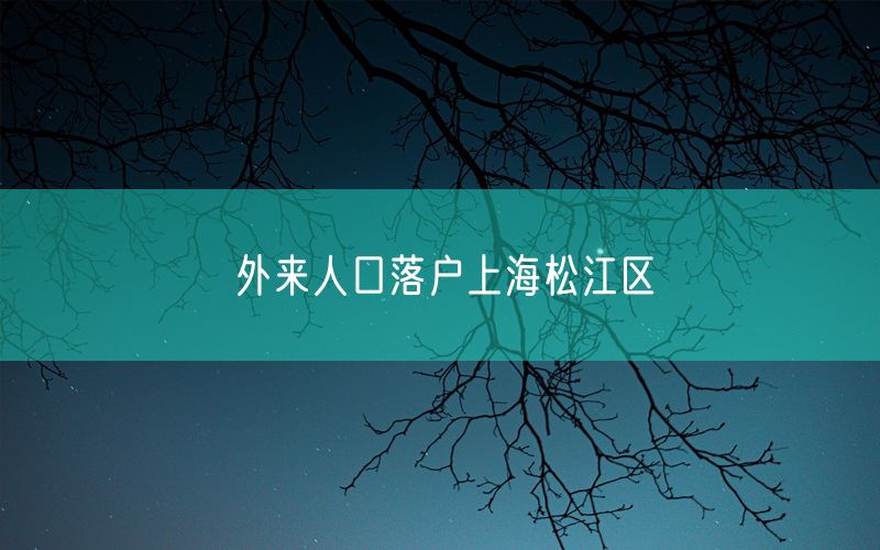 外来人口落户上海松江区