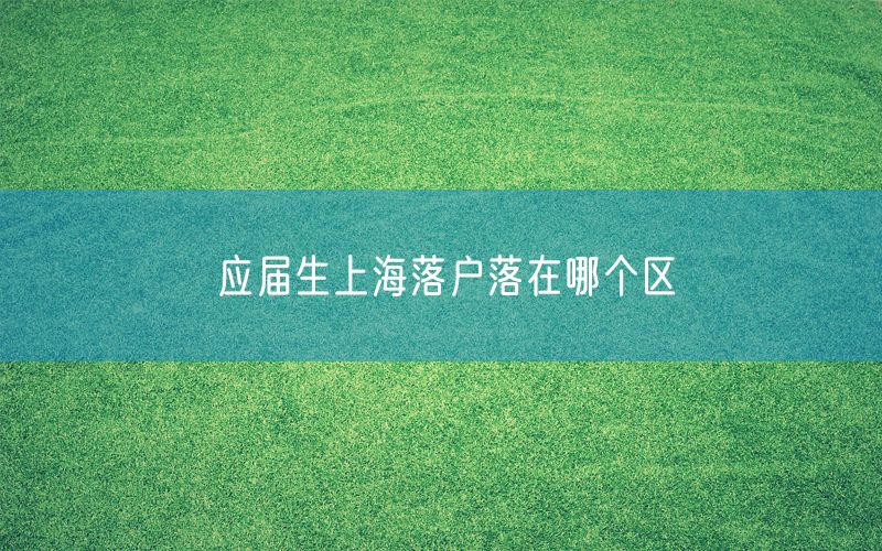 应届生上海落户落在哪个区