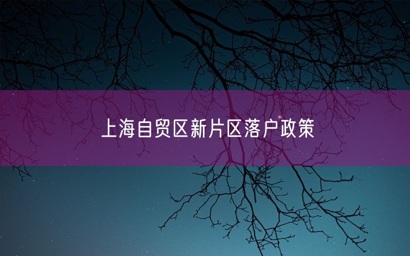 上海自贸区新片区落户政策