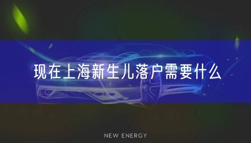 现在上海新生儿落户需要什么