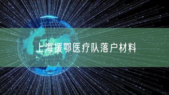 上海援鄂医疗队落户材料