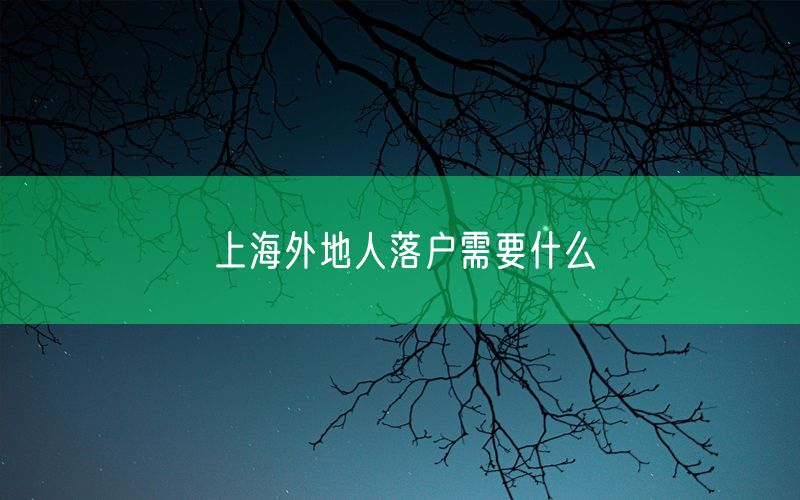 上海外地人落户需要什么