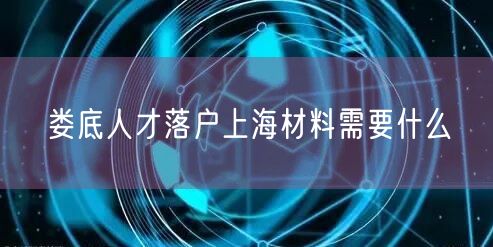 娄底人才落户上海材料需要什么