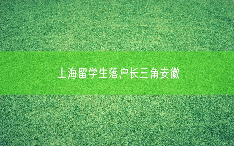 上海留学生落户长三角安徽
