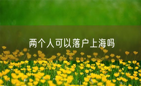 两个人可以落户上海吗