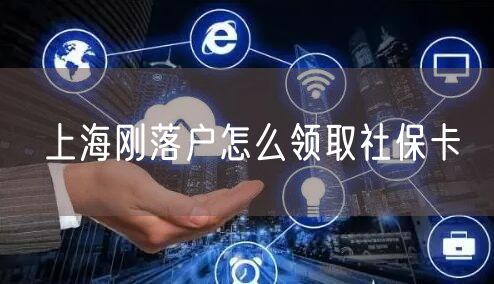 上海刚落户怎么领取社保卡