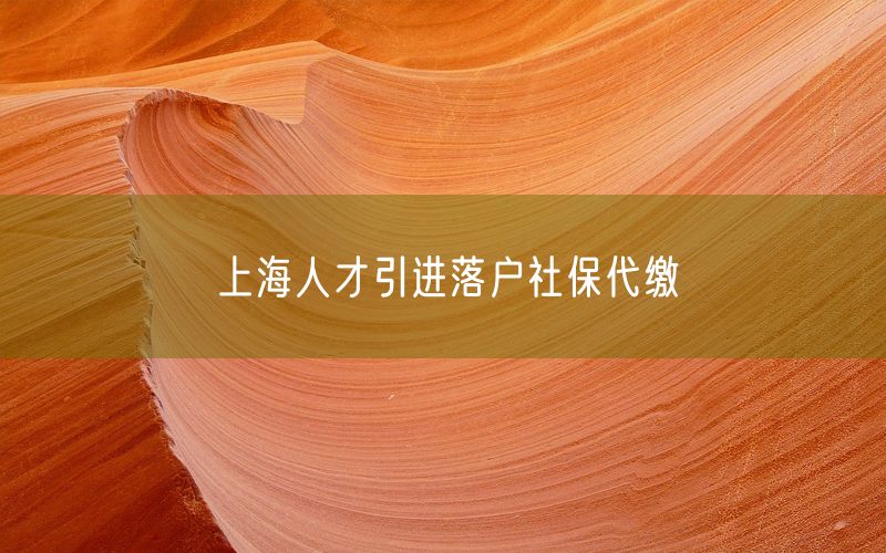 上海人才引进落户社保代缴