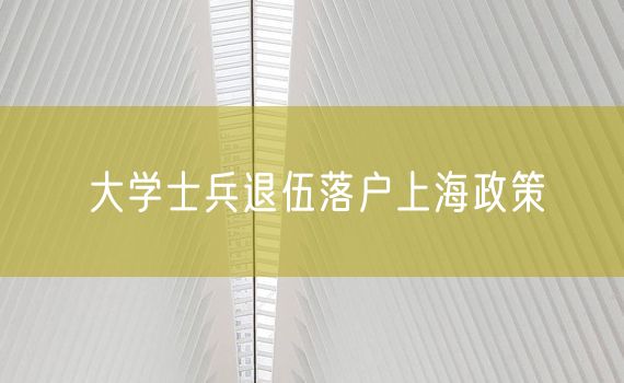 大学士兵退伍落户上海政策