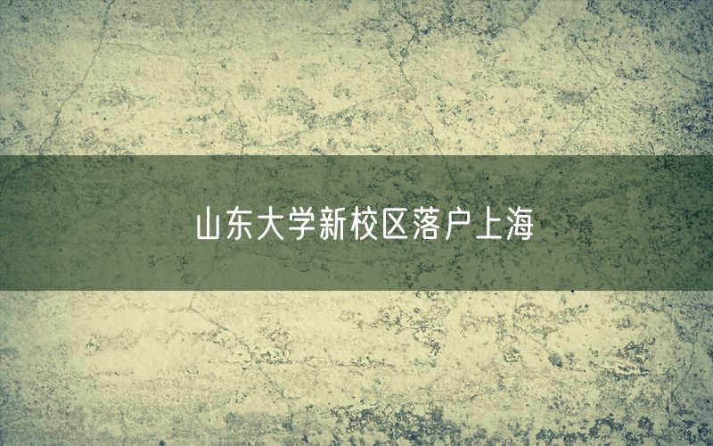 山东大学新校区落户上海