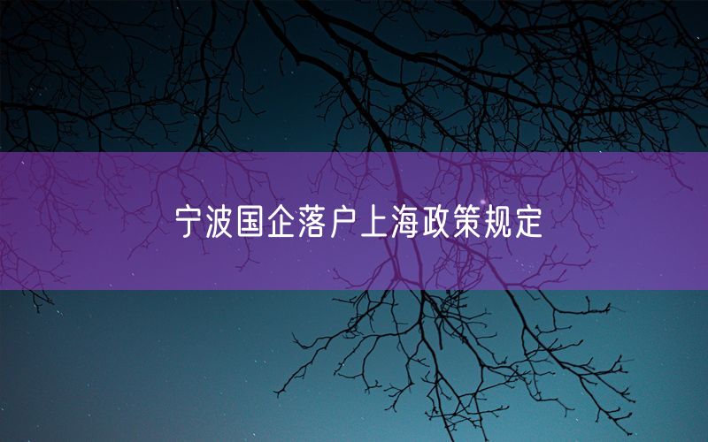 宁波国企落户上海政策规定