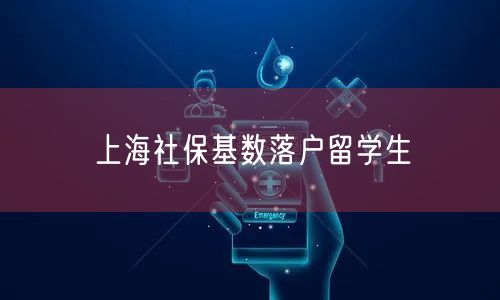 上海社保基数落户留学生