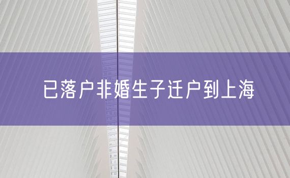 已落户非婚生子迁户到上海