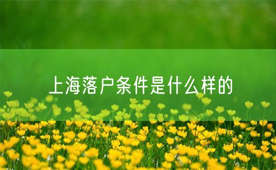 上海落户条件是什么样的