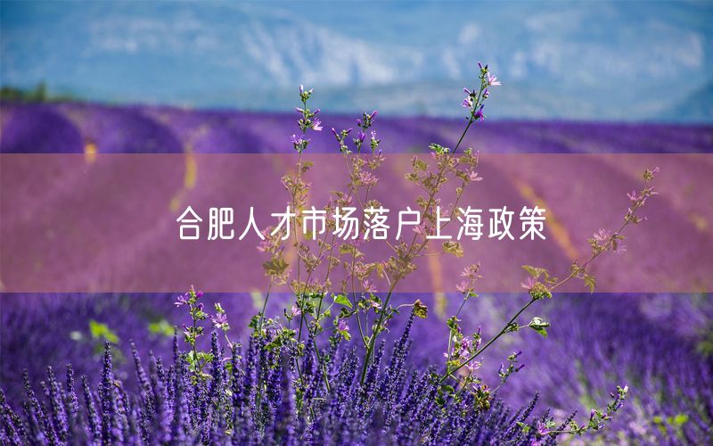 合肥人才市场落户上海政策