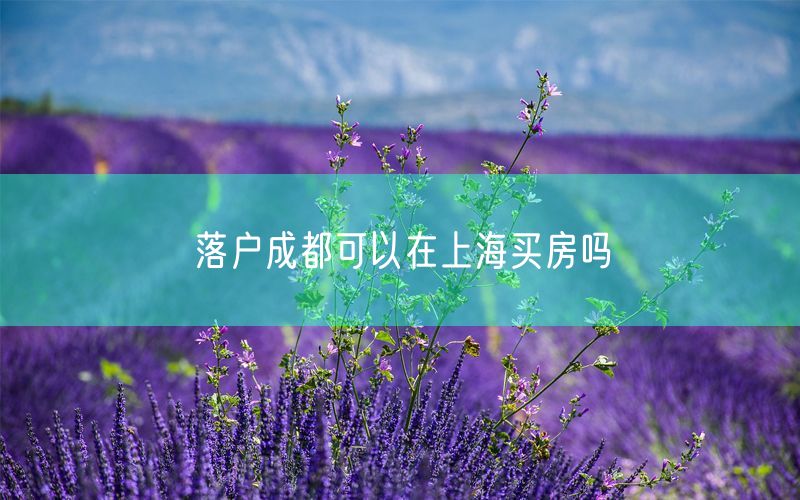 落户成都可以在上海买房吗