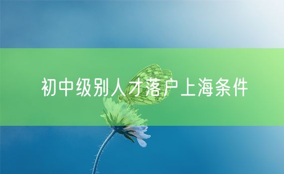 初中级别人才落户上海条件