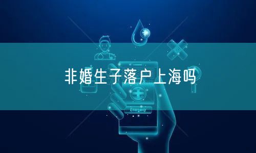非婚生子落户上海吗