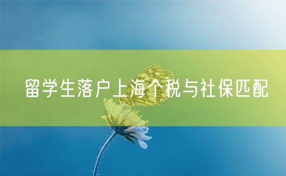 留学生落户上海个税与社保匹配