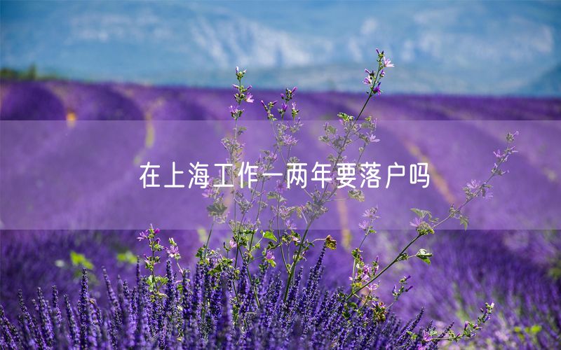 在上海工作一两年要落户吗
