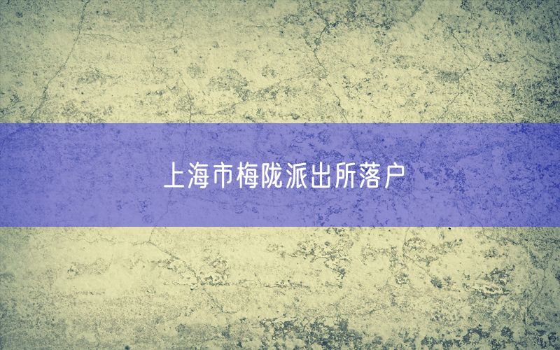 上海市梅陇派出所落户