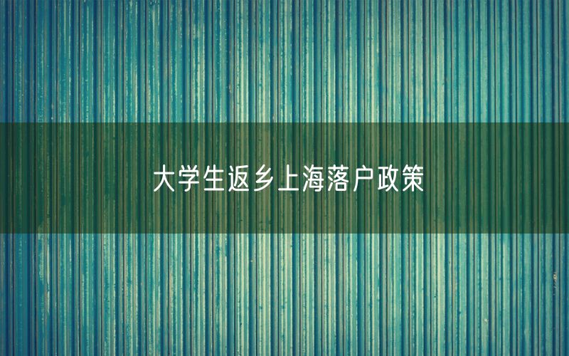 大学生返乡上海落户政策