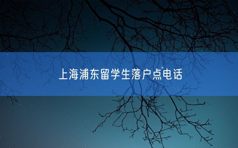 上海浦东留学生落户点电话