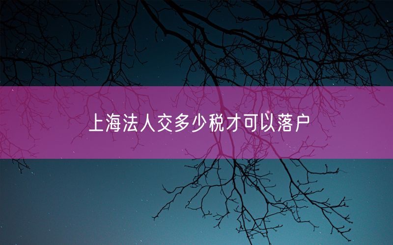 上海法人交多少税才可以落户