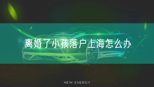 离婚了小孩落户上海怎么办