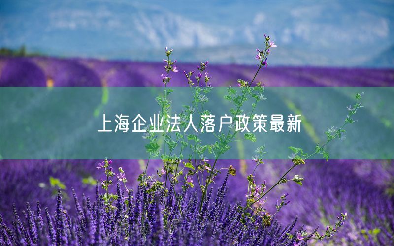 上海企业法人落户政策最新