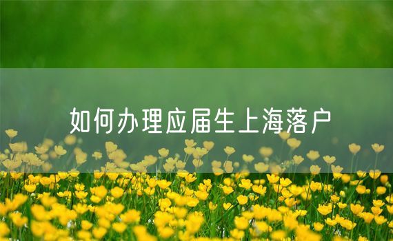 如何办理应届生上海落户