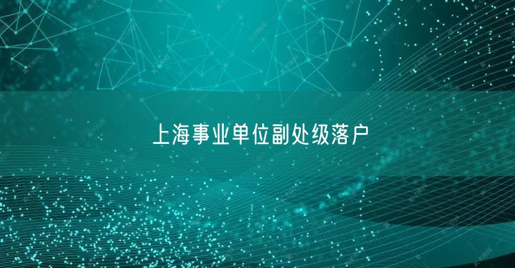 上海事业单位副处级落户