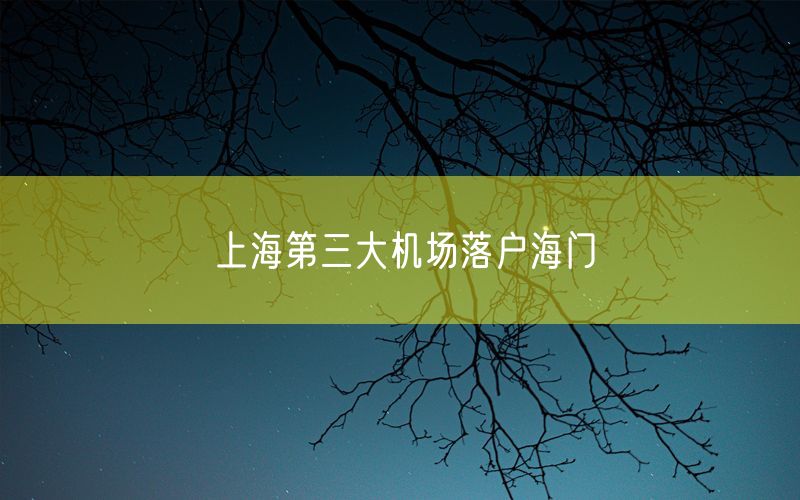 上海第三大机场落户海门