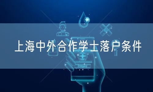 上海中外合作学士落户条件