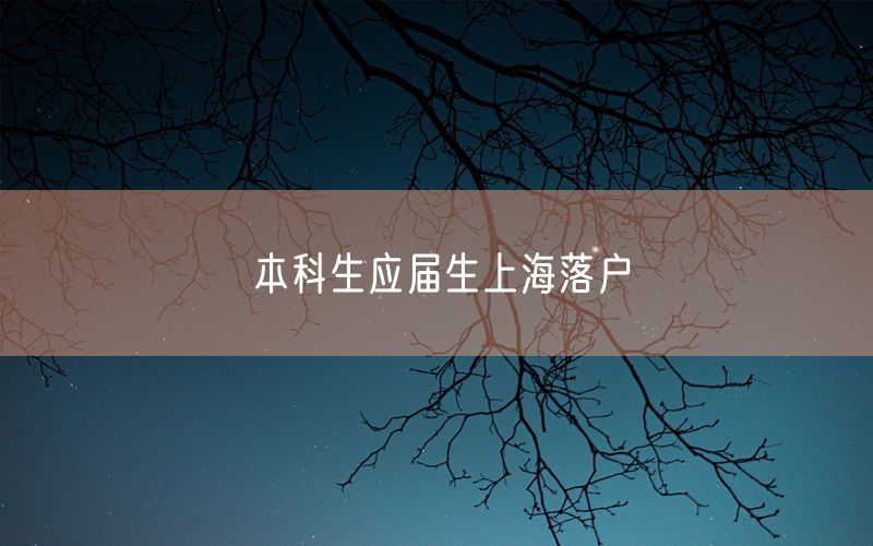 本科生应届生上海落户