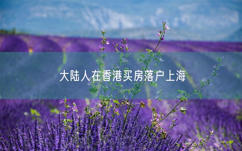 大陆人在香港买房落户上海