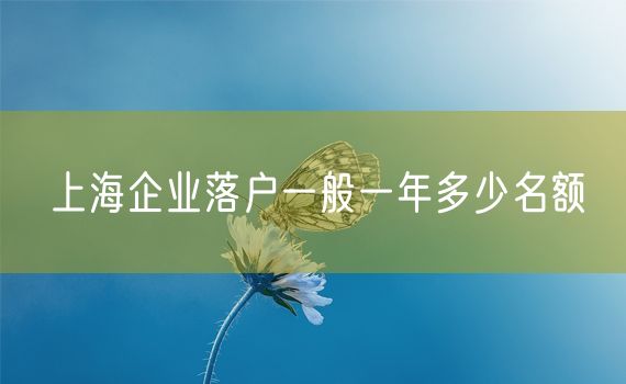 上海企业落户一般一年多少名额
