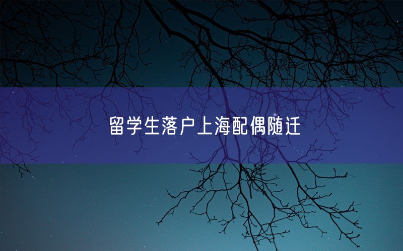 留学生落户上海配偶随迁
