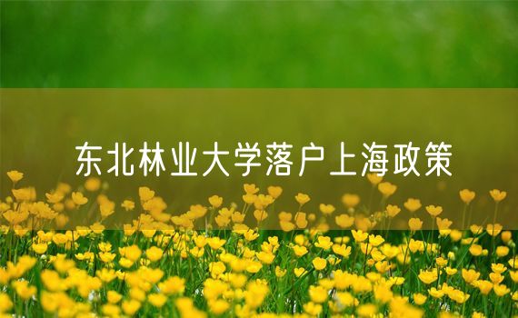 东北林业大学落户上海政策