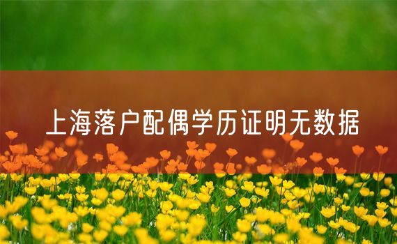 上海落户配偶学历证明无数据