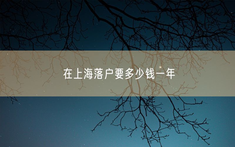 在上海落户要多少钱一年