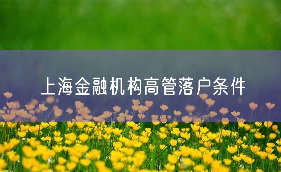 上海金融机构高管落户条件