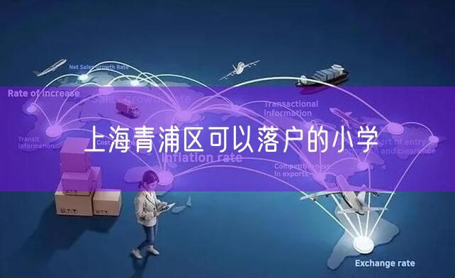 上海青浦区可以落户的小学