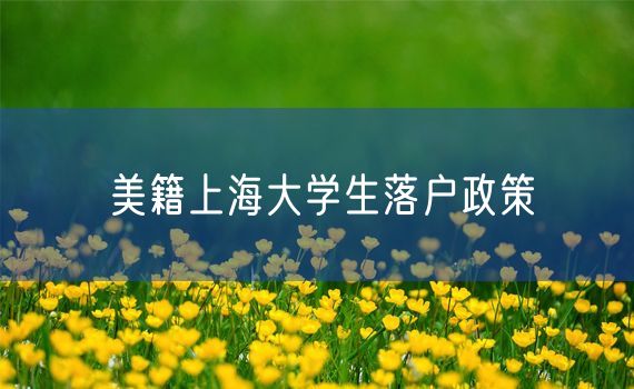 美籍上海大学生落户政策