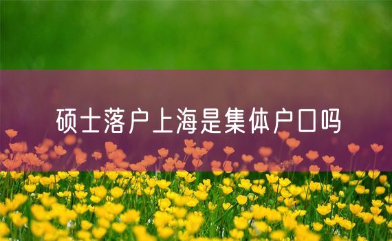 硕士落户上海是集体户口吗
