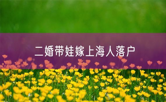 二婚带娃嫁上海人落户