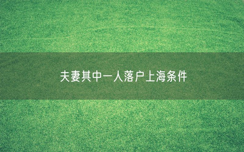 夫妻其中一人落户上海条件