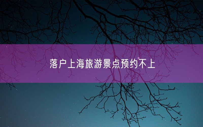 落户上海旅游景点预约不上
